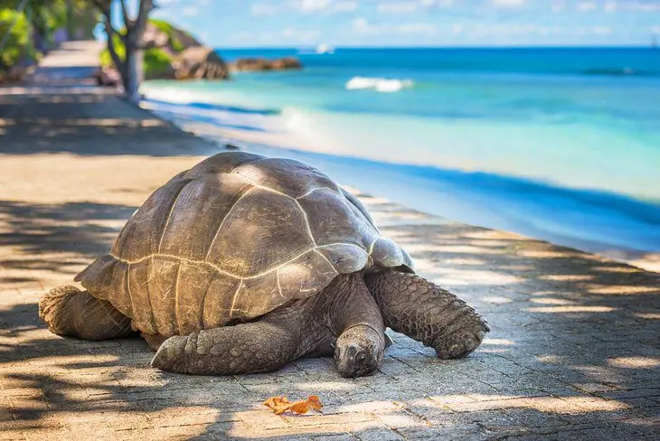 Seychelles in Pictures: 25 Beautiful Places to Photograph