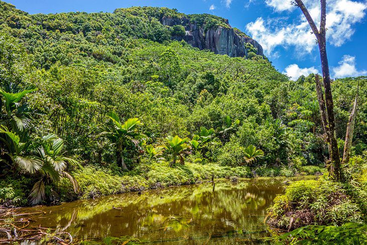 Seychelles in Pictures: 25 Beautiful Places to Photograph