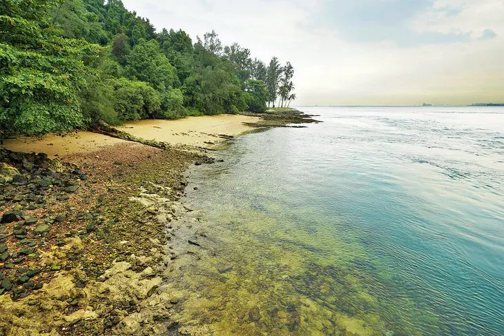 Singapore in Pictures: 18 Beautiful Places to Photograph