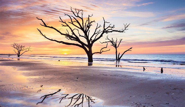 South Carolina in Pictures: 25 Beautiful Places to Photograph