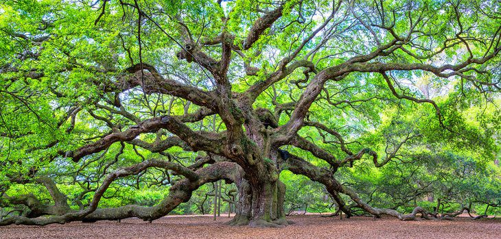 South Carolina in Pictures: 25 Beautiful Places to Photograph