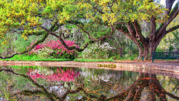 South Carolina in Pictures: 25 Beautiful Places to Photograph