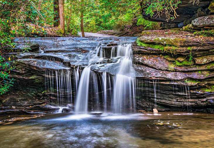 South Carolina in Pictures: 25 Beautiful Places to Photograph