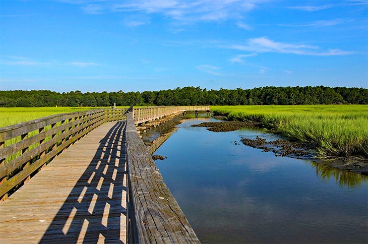 South Carolina in Pictures: 25 Beautiful Places to Photograph