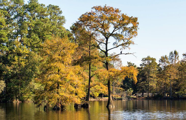 South Carolina in Pictures: 25 Beautiful Places to Photograph