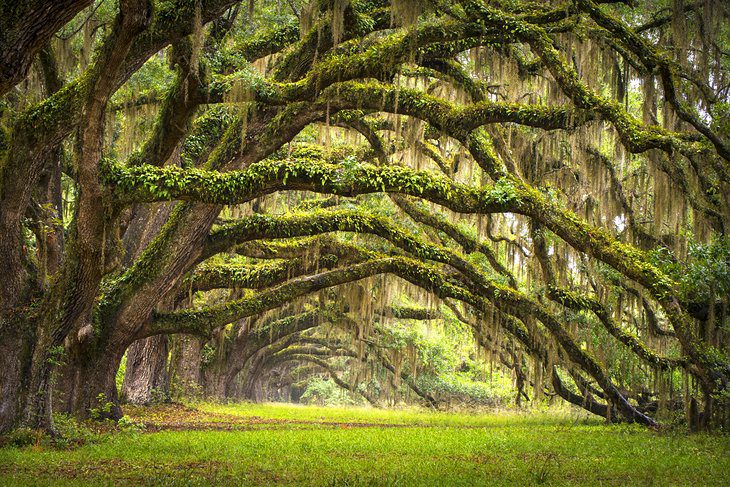 South Carolina in Pictures: 25 Beautiful Places to Photograph