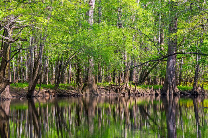 South Carolina in Pictures: 25 Beautiful Places to Photograph