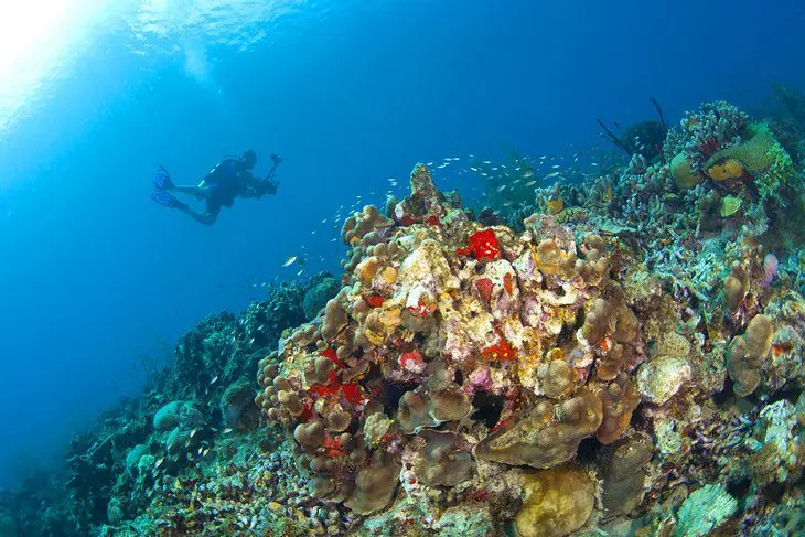 St. Lucia in Pictures: 19 Beautiful Places to Photograph