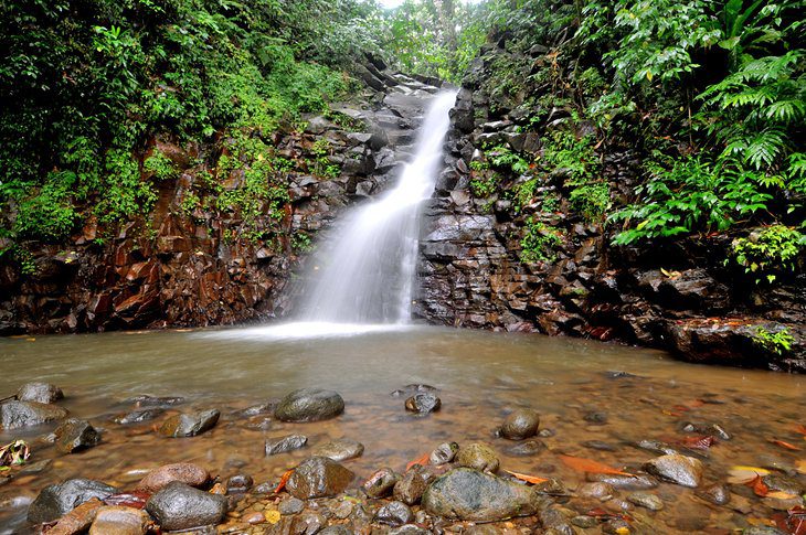 St. Lucia in Pictures: 19 Beautiful Places to Photograph