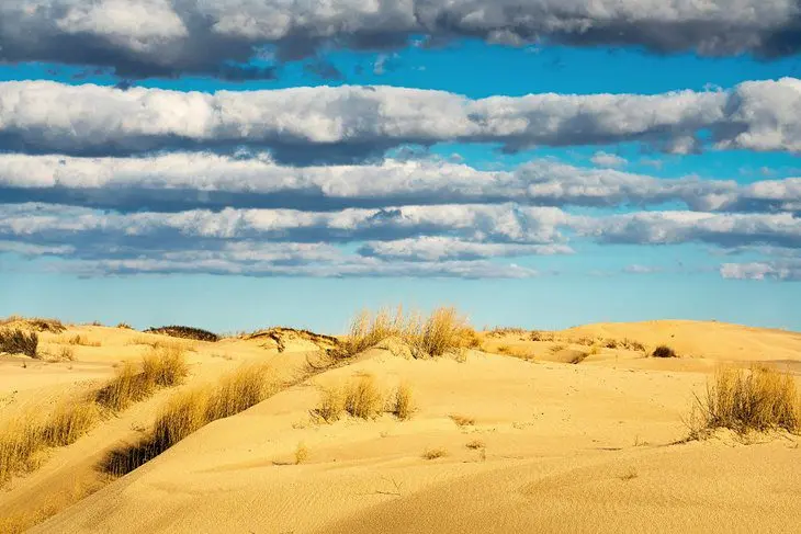 Texas in Pictures: 15 Beautiful Places to Photograph