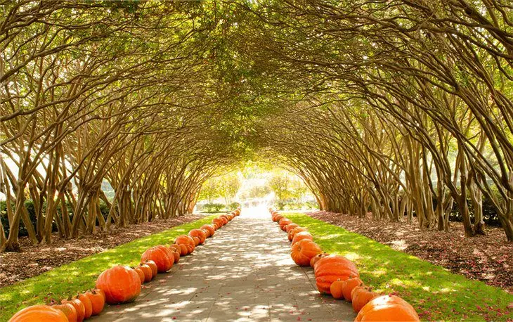 Texas in Pictures: 15 Beautiful Places to Photograph