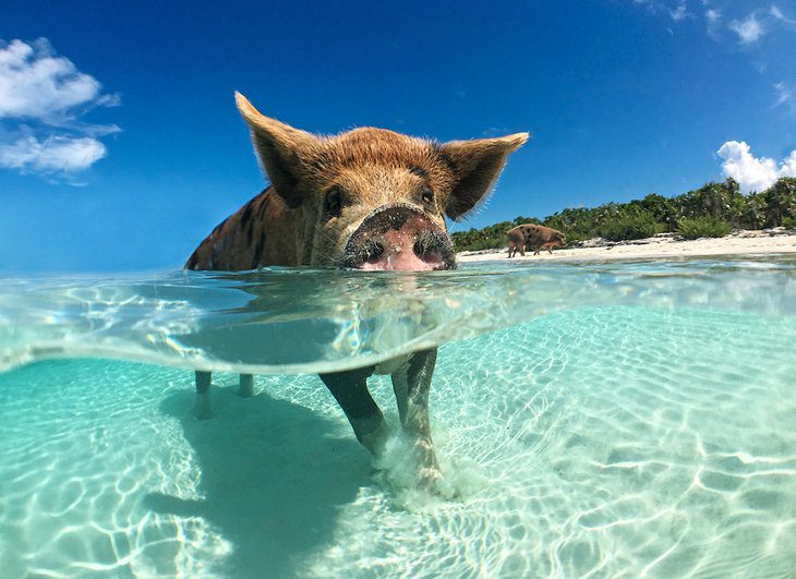 The Bahamas in Pictures: 15 Beautiful Places to Photograph