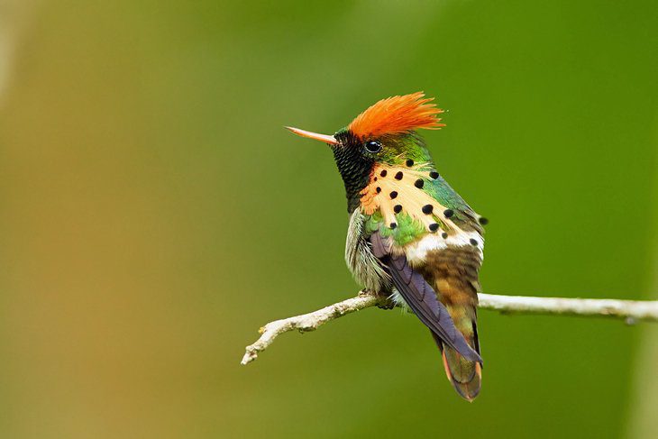 Trinidad and Tobago in Pictures: 19 Beautiful Places to Photograph