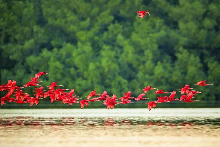 Trinidad and Tobago in Pictures: 19 Beautiful Places to Photograph