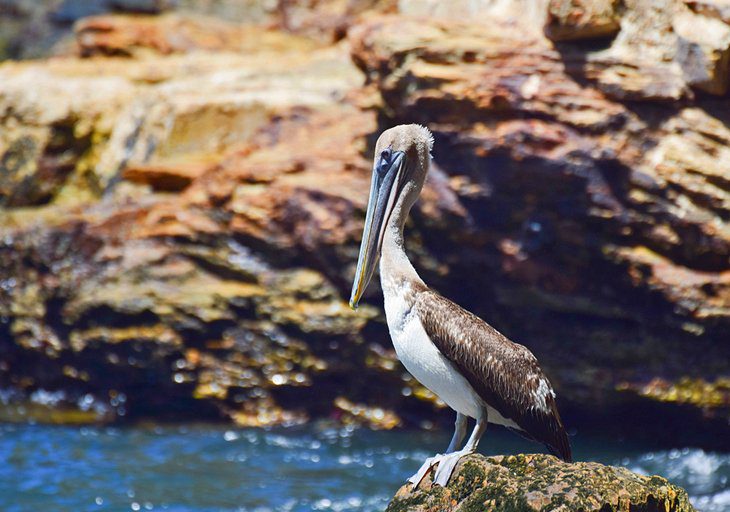 Trinidad and Tobago in Pictures: 19 Beautiful Places to Photograph