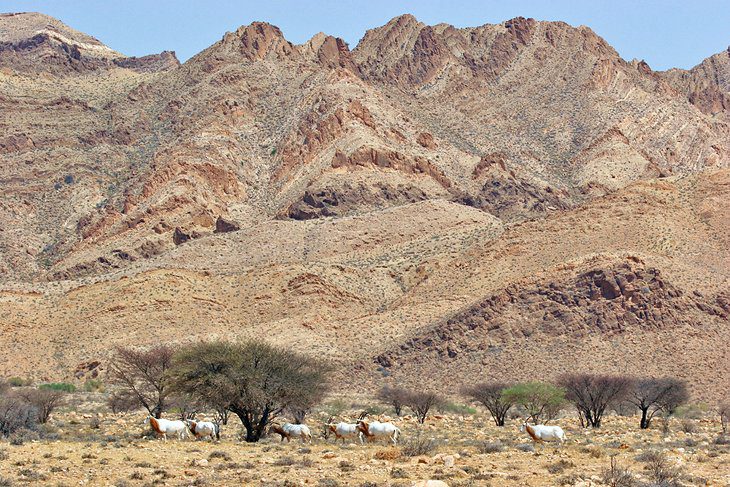 Tunisia in Pictures: 20 Beautiful Places to Photograph