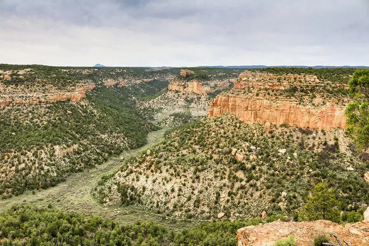 Visiting Mesa Verde National Park: 8 Top Things to See & Do