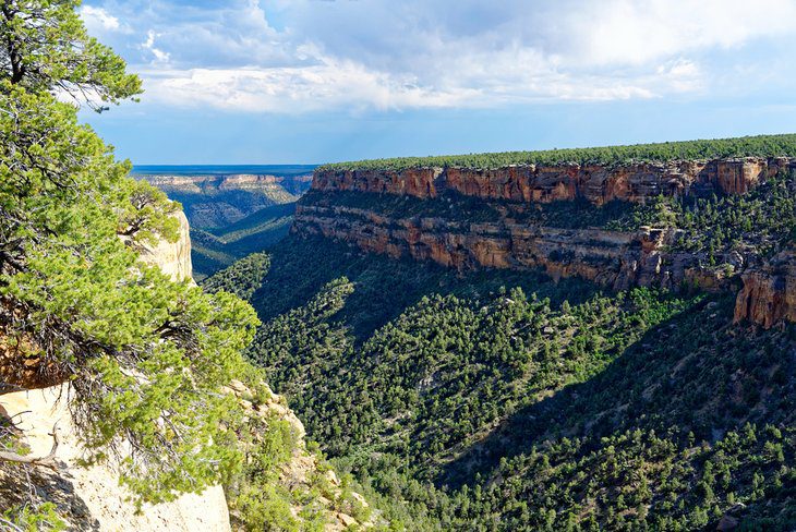 Visiting Mesa Verde National Park: 8 Top Things to See & Do