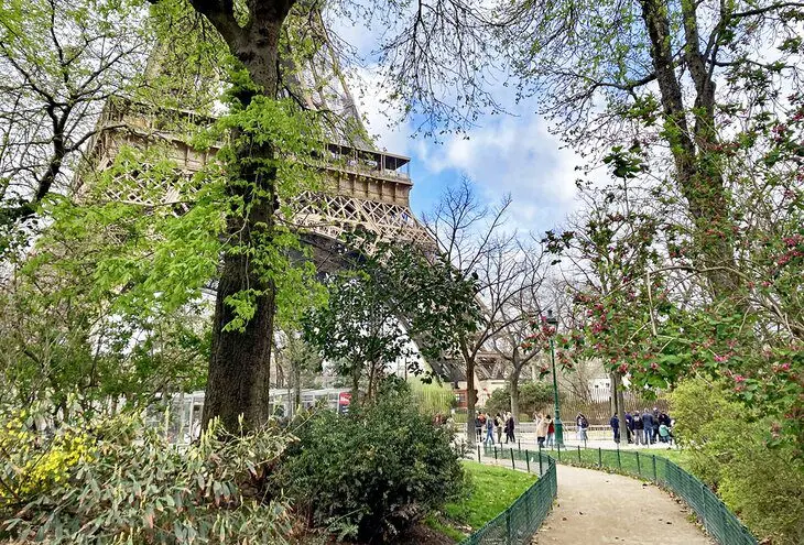 Visiting the Eiffel Tower: Highlights