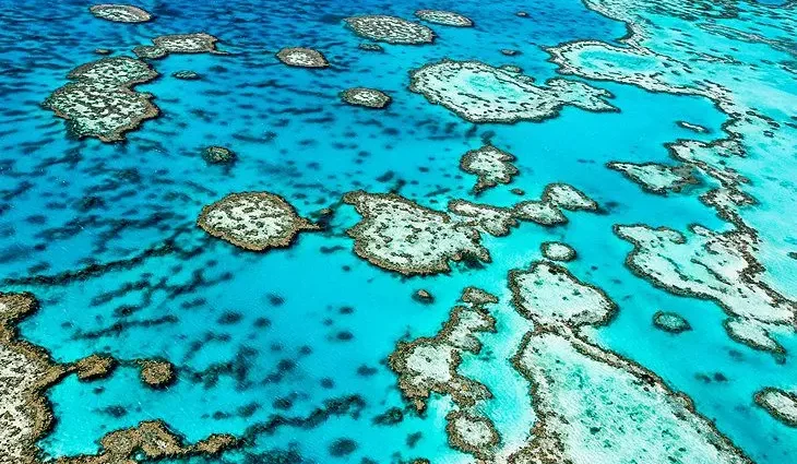 Visiting the Great Barrier Reef: 11 Top-Rated Attractions &#038; Things to Do