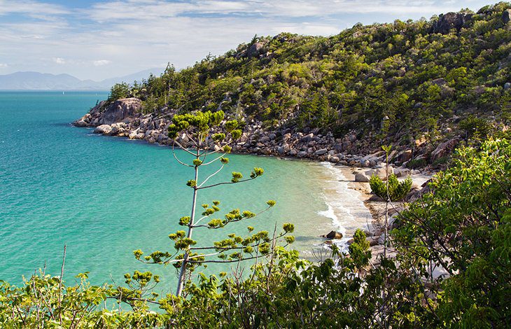 Visiting the Great Barrier Reef: 11 Top-Rated Attractions & Things to Do