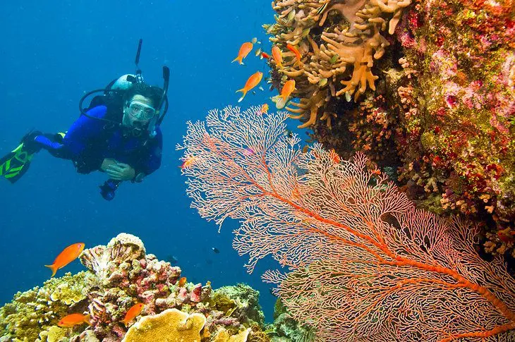 Visiting the Great Barrier Reef: 11 Top-Rated Attractions & Things to Do