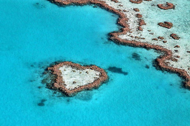 Visiting the Great Barrier Reef: 11 Top-Rated Attractions & Things to Do