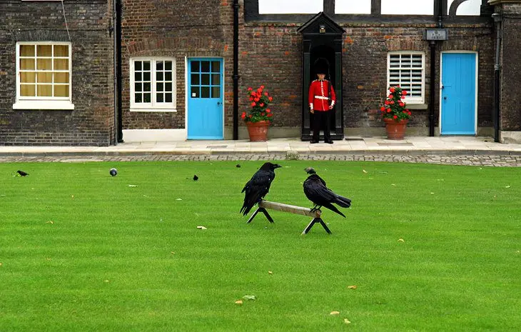 Visiting the Tower of London: 10 Top Attractions