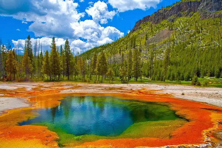 Visiting Yellowstone National Park: 14 Attractions, Tips & Tours