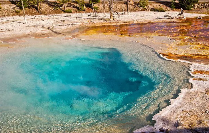 Visiting Yellowstone National Park: 14 Attractions, Tips & Tours