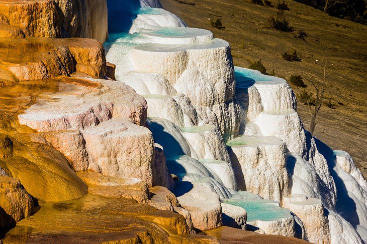 Visiting Yellowstone National Park: 14 Attractions, Tips & Tours