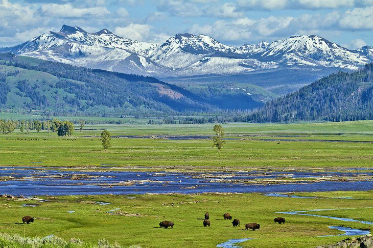 Visiting Yellowstone National Park: 14 Attractions, Tips & Tours