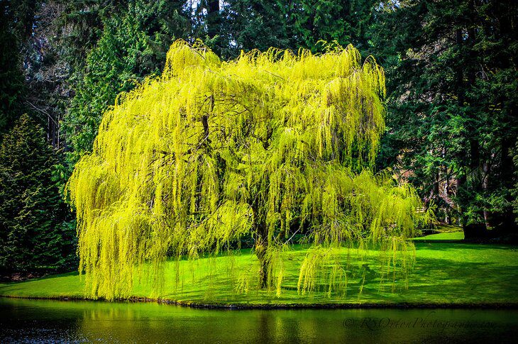 Washington State in Pictures: 23 Beautiful Places to Photograph