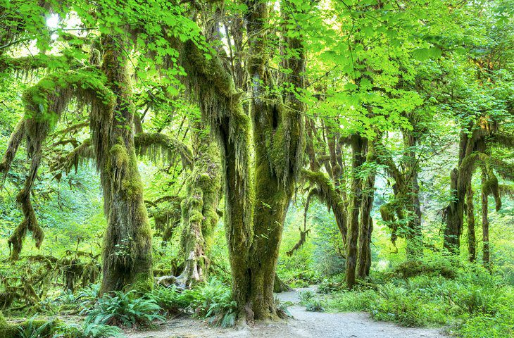 Washington State in Pictures: 23 Beautiful Places to Photograph