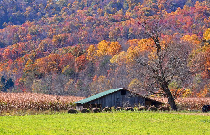 West Virginia in Pictures: 20 Beautiful Places to Photograph