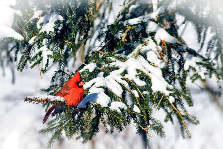 West Virginia in Pictures: 20 Beautiful Places to Photograph