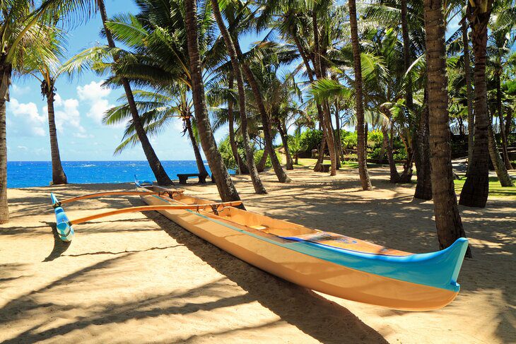 Whale Watching on an Outrigger Tour in Maui