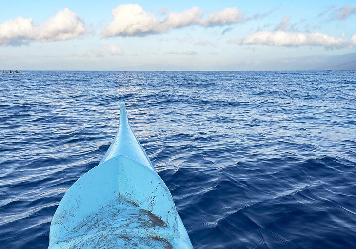 Whale Watching on an Outrigger Tour in Maui