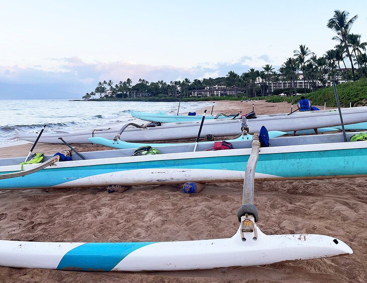 Whale Watching on an Outrigger Tour in Maui