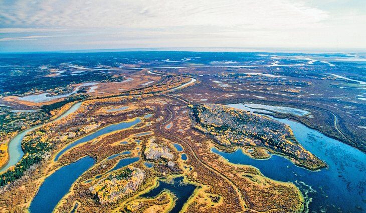 Wood Buffalo National Park: 6 Top Things to Do