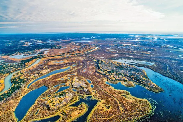 Wood Buffalo National Park: 6 Top Things to Do