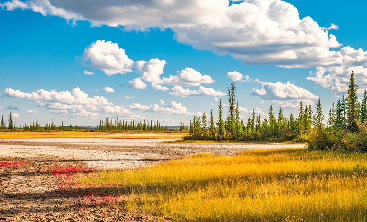 Wood Buffalo National Park: 6 Top Things to Do