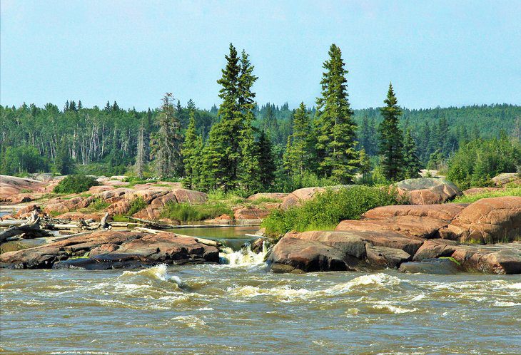 Wood Buffalo National Park: 6 Top Things to Do